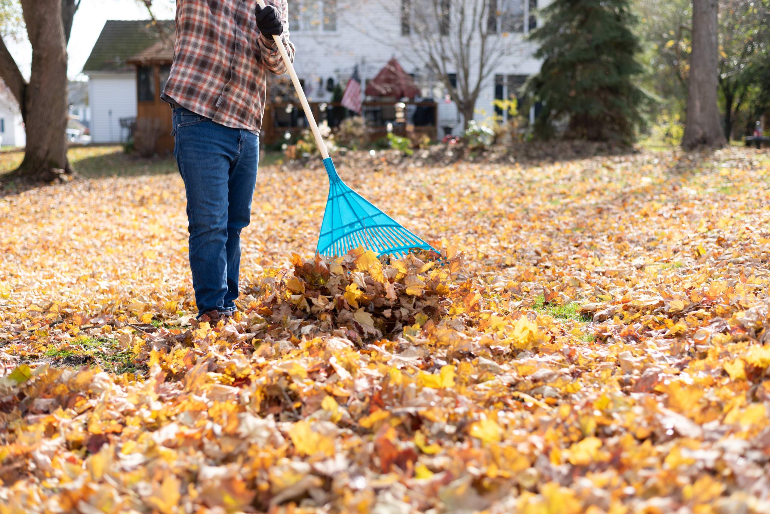 fall maintenance tips new homebuyers
